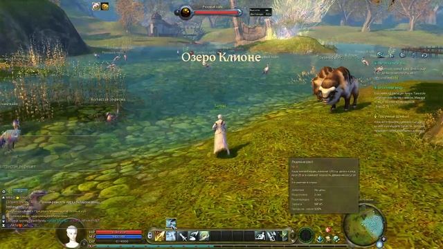 Aion 2.5 Качаемся в Фоэте выполняем квесты 2 видос