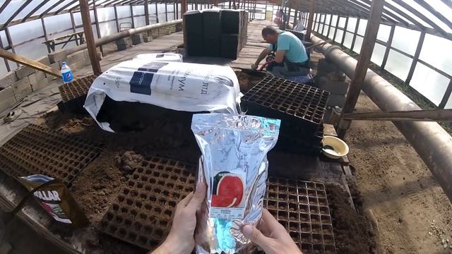 Посадка арбузных семян в кассеты 22 04 20 смотреть онлайн