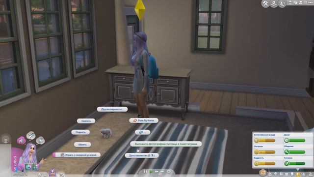 ЗАВОДИМ ПИТОМЦА #3 | SIMS 4 КОШКИ И СОБАКИ смотреть онлайн
