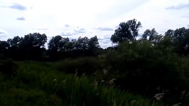 Сенокос // Худое лето, коли сена нету // Засуха и Дожди... Каков укос!? // ЛПХ-Кирсановы смотреть онлайн