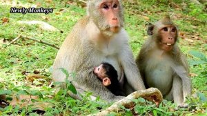 Mom try to Pull back Newborn baby Cos She worried her Big Kid hurt newborn Janna