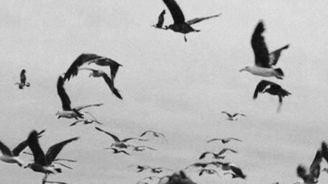 Знаешь, бывает такое время...(стихотворение) смотреть онлайн