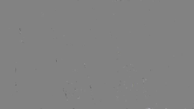 CUTE ANIMALS + ANIMAL FOOD TIER LIST FT. @mayahiga @AlveusSanctuary смотреть онлайн