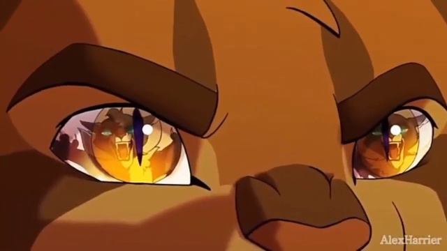 Коты воители Ежевика и Коршун клип песня (Я прикинусь дураком) 🫐 смотреть онлайн