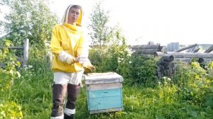 Вышел РОЙ ПЧЕЛ  что делать?! Роение на пасеке - Наши действия.   [Пчеловодство 2020 для начинающих]