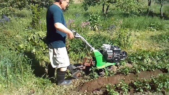 Посадка картофеля: нарезка борозды , закрытие борозды , окучивание , копка культиватор ВИКИНГ 660 смотреть онлайн