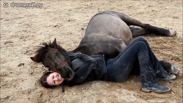 Дружба девушки с лошадьми смотреть онлайн