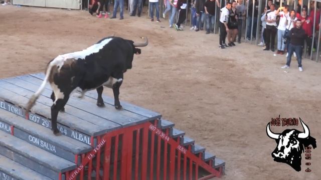 2019 03 02 Moncada Vlc CONCURSO DE TOROS смотреть онлайн
