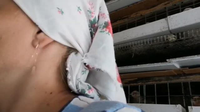 Подготовка к переезду и всех на весы смотреть онлайн