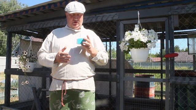 ЗООТЕХНИЧЕСКИЕ СПОСОБЫ БОРЬБЫ С ЖАРОЙ. смотреть онлайн