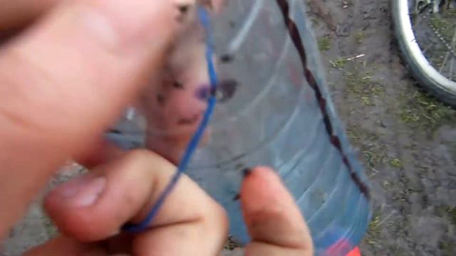 БРИЗГОВИК на велосипед из БУТЫЛКИ