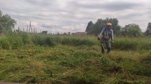 ?Бензокоса Alpina Star 55DP по переросшей траве / Brushcutter   Alpina Star 55DP on overgrown grass