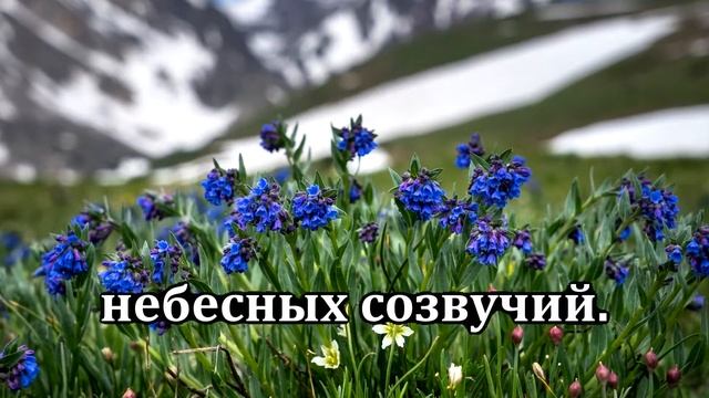 № 244 Очи открой нам | Караоке с голосом | Христианские песни | Гимны надежды смотреть онлайн