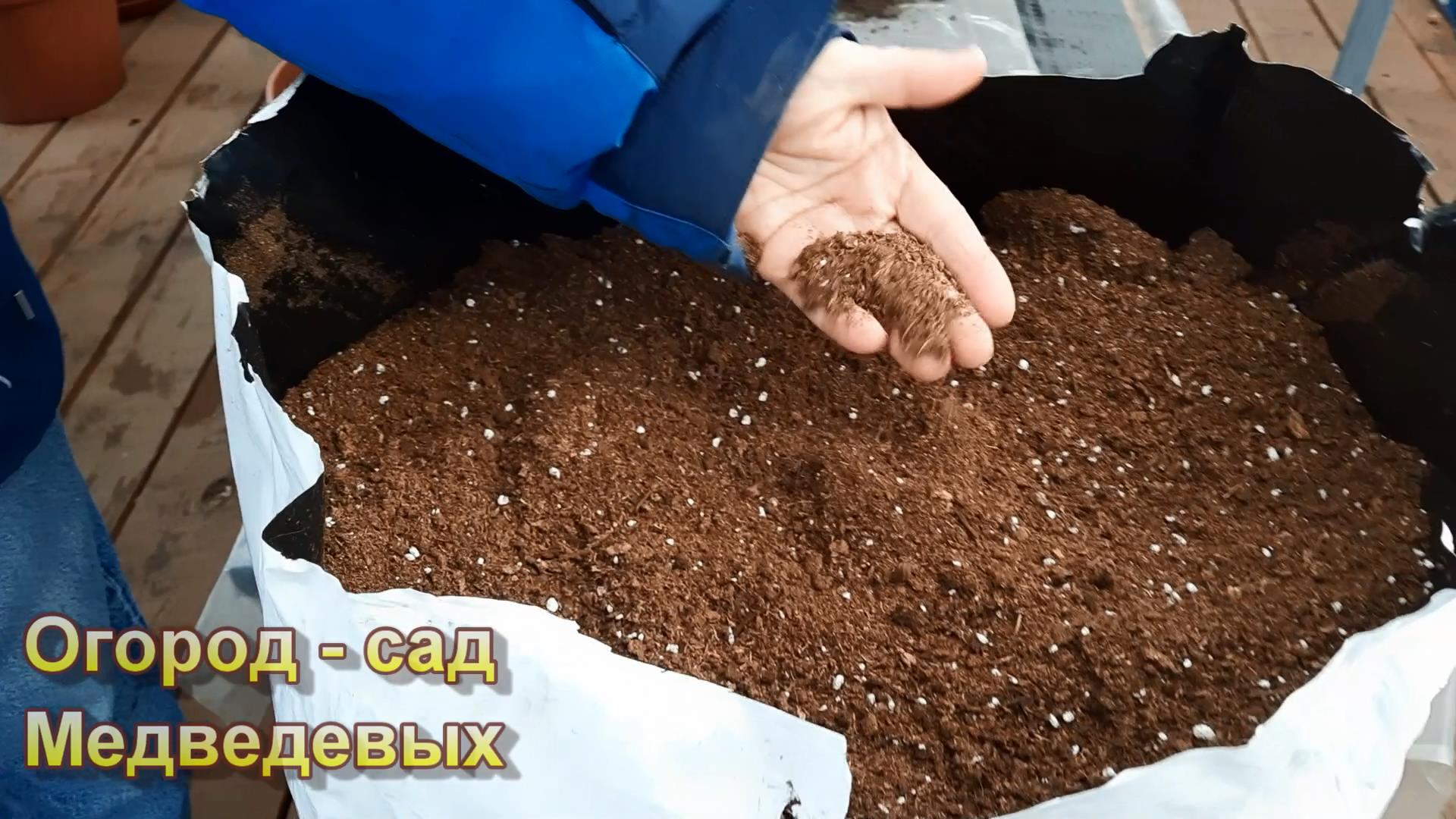 Грунт для выращивания рассады смотреть онлайн