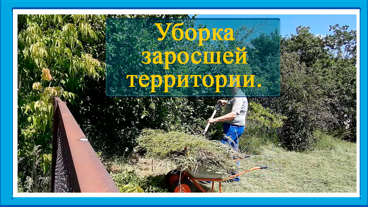 Жизнь и хобби/ Life And Hobbies