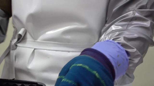 오징어순대 Mass production! Squid Sausage (Squid Sundae) Making Process - Korean food factory смотреть онлайн