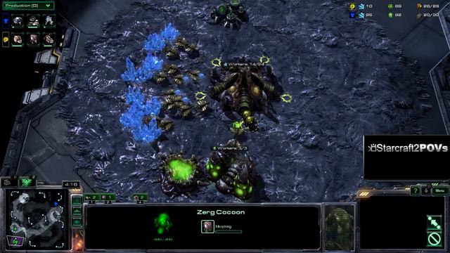 SC2 HotS - ASUS ROG Summer 2013 - VortiX vs Bunny - Ro32 Group 5 - Map 4 - Neo Planet S - VortiX смотреть онлайн