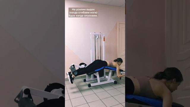 Сгибание ног в тренажёре. Бицепс бедра. Техника выполнения упражнения. смотреть онлайн