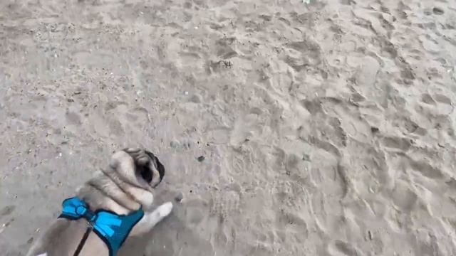 Мое мнение: Зачем красится внучка Алисия! Черное море Анапа осень смотреть онлайн