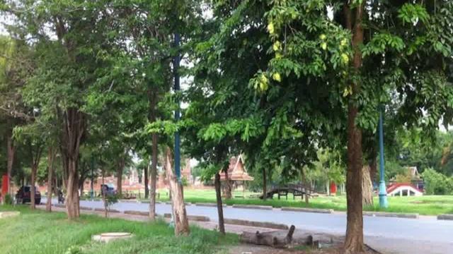 Таиланд, Аюттхая, Аюттхая - The Park Ayutthaya 2 Star