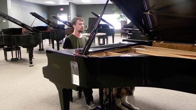 Improv jam on an Italian Fazioli Grand Piano смотреть онлайн