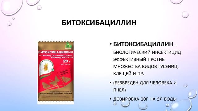 Выращивание малины в Сибири. Иркутская область смотреть онлайн