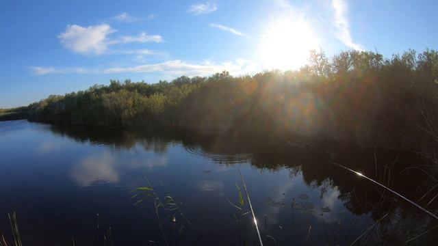 Карасёвый бум🎣🐟 Вечерняя рыбалка на карася🐟 смотреть онлайн