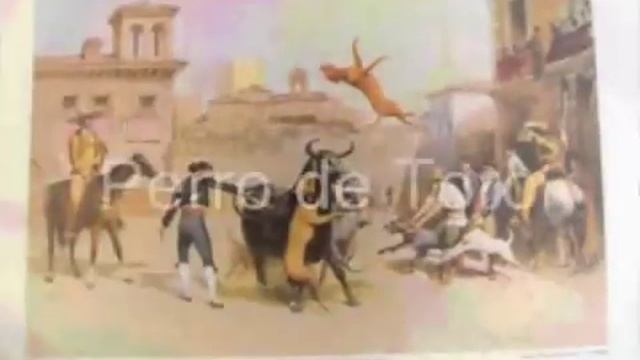 Легендарные Аланские Собаки - ALANO ESPANOL