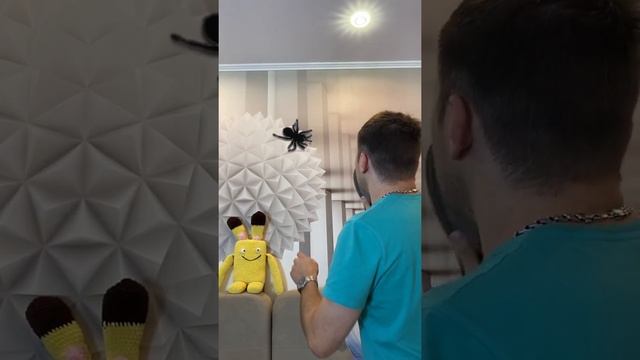 Большой паук на стене #Shorts смотреть онлайн