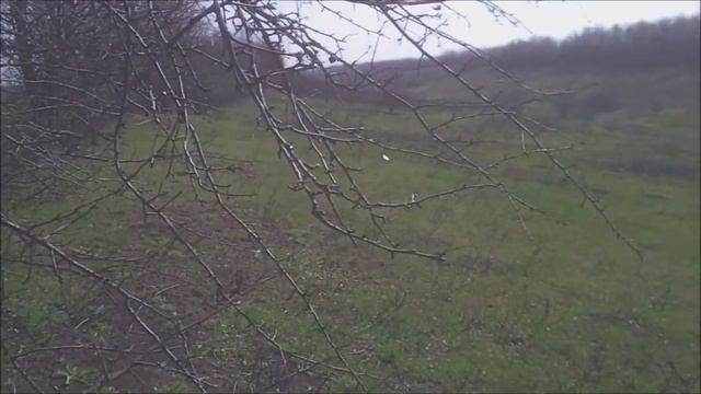 ПОШЕЛ КОПАТЬ СТАРИНУ а попал на ... смотреть онлайн