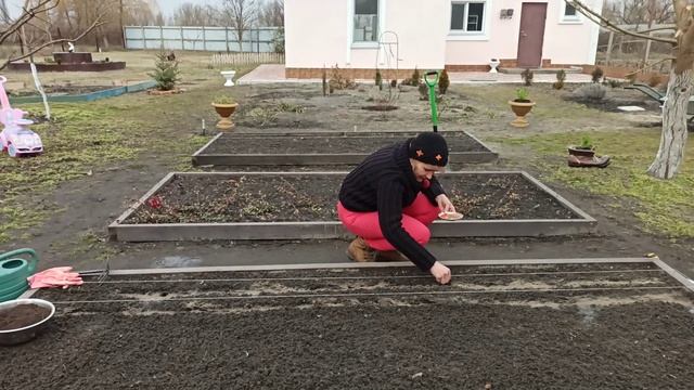 Как сеять морковь смотреть онлайн