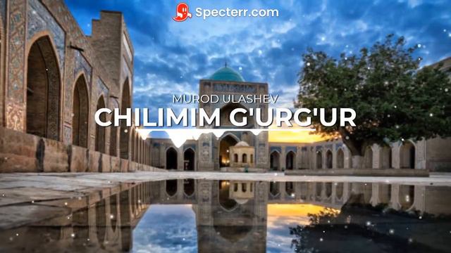 BUXORO TERMA // MUROD ULASHEV // CHILIM G'URG'UR // BUXOROCHA SHO'X TERMA //