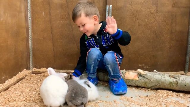 САШОКJUNIOR ПРИШЁЛ В КОНТАКТНЫЙ ЗООПАРК! ЕНОТ, СКУНС, ЗМЕИ, ЯЩЕРИЦЫ И ДРУГИЕ! смотреть онлайн