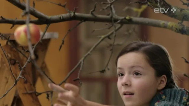 Kukkerpillid - Love Song смотреть онлайн