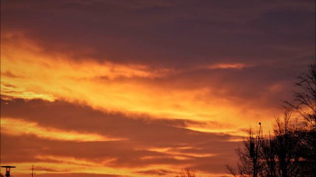 Avalon - Daffodils смотреть онлайн