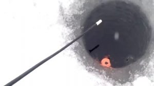 Зимняя рыбалка на Истринском водохранилище в Лечищево 25.01.2015года.