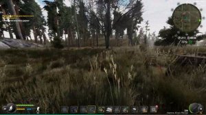 квест Тайник возле мёртвого дерева в Will to live