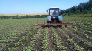 Выехали в поле, культиватор КРН-5,6 самодельный