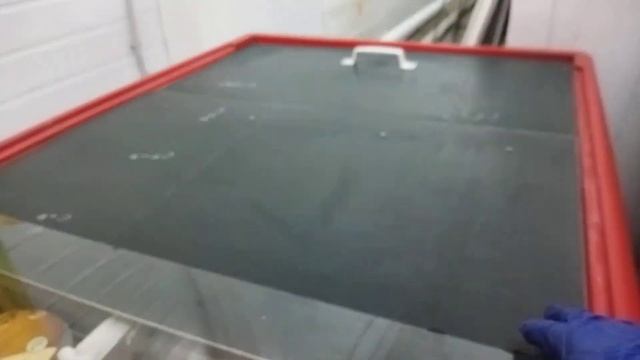 ?Светофор ?Обзор новых товаров Рыба в морозильной камере,в помещение холодильника  продукты