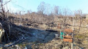 Весенняя ловля щеглов 2