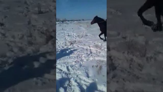 21 января 2018 г. смотреть онлайн