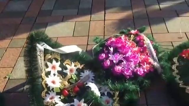 Гроб со свиньей принесли к зданию Рады смотреть онлайн