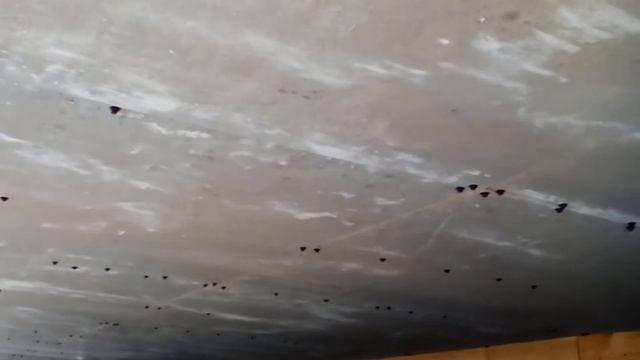 Каркасный дом, обшивка дна цсп листами. смотреть онлайн