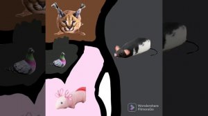 блоп топ игрушки сражаются за територию