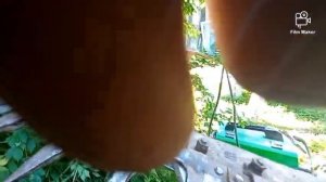 Особенности настройка косилки сегментной на мтз