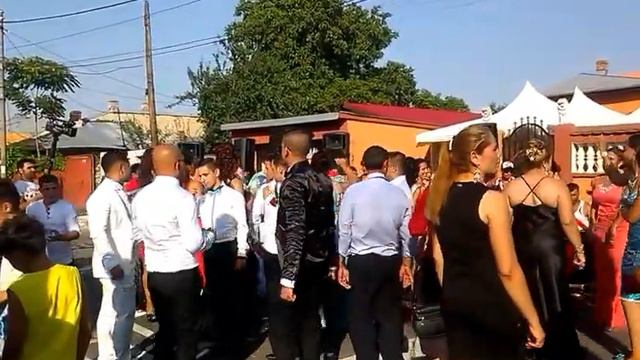 Nunta Mare 2015 Narcis Live Da Mama Sunt Mireasa