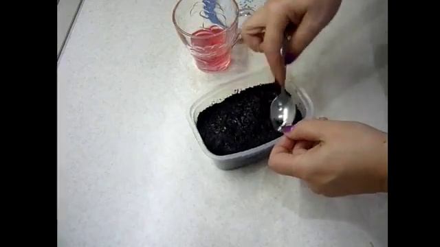 Как вырастить АГЕРАТУМ смотреть онлайн