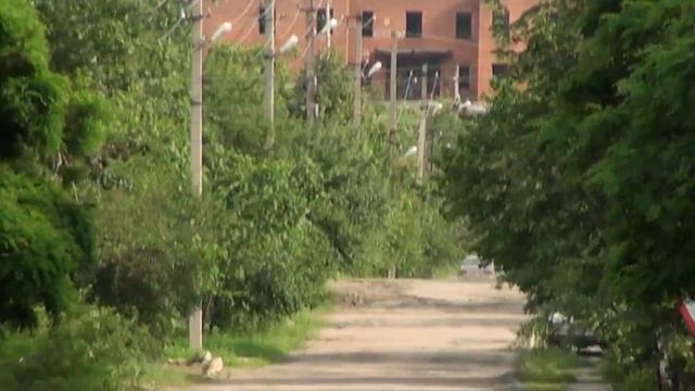 ЛУТУГИНО 20.06.2021 улица Олега Кошевого смотреть онлайн