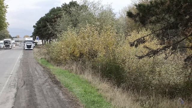 коллейка на Ларс 5день стоим