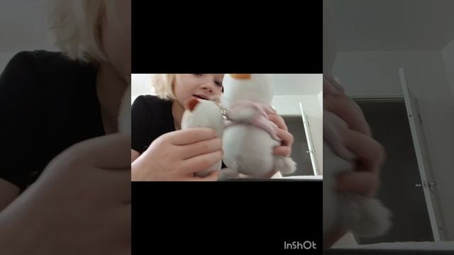 125097.mp4 смотреть онлайн